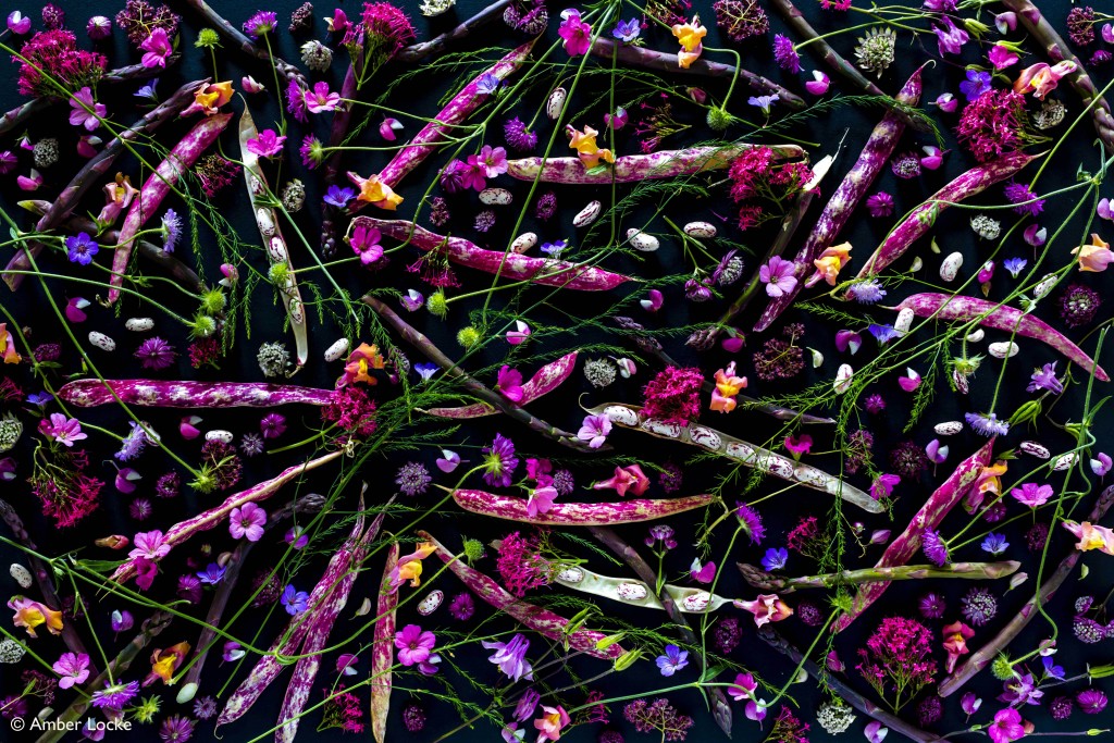 BORLOTTI BEANS ON BLACK