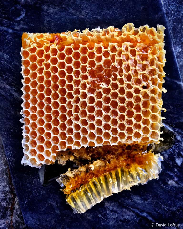 David_Loftus_Honeycomb