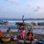 A photo of people sitting on a beach, sorting and transporting seafood as it arrives from the sea - photography competition submission