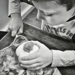 Jonathan Gregson - Peeling Apples