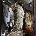 Lisa Linder - Tray of Game
