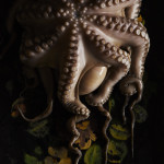 Lukas Lienhard - Portrait of Pulpo