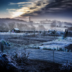 Matt Oliver - Allotment on a cold winter morning