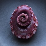 colin_campbell_octopus_tentacle