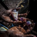 eric_charles_fish_soup