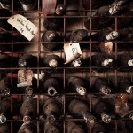 erin-latimore_museum_wines