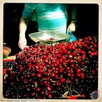 jacquline_franklin_cherries-at-borough-market