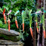jasper_callis_line_of_carrots