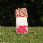 katie_woodhouse_lollipop-lawn
