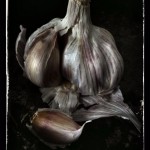 lisa_barber_garlic