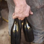 owen_franken winemakers' hands and two bottles