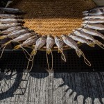 sally_stone_sun_shadows
