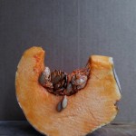 simone_da_lima_pumpkin