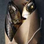 suzanne_kantak_fish