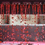 victor_pugatschew_pinot_noir_pressed