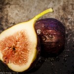 will_jenkins_fig